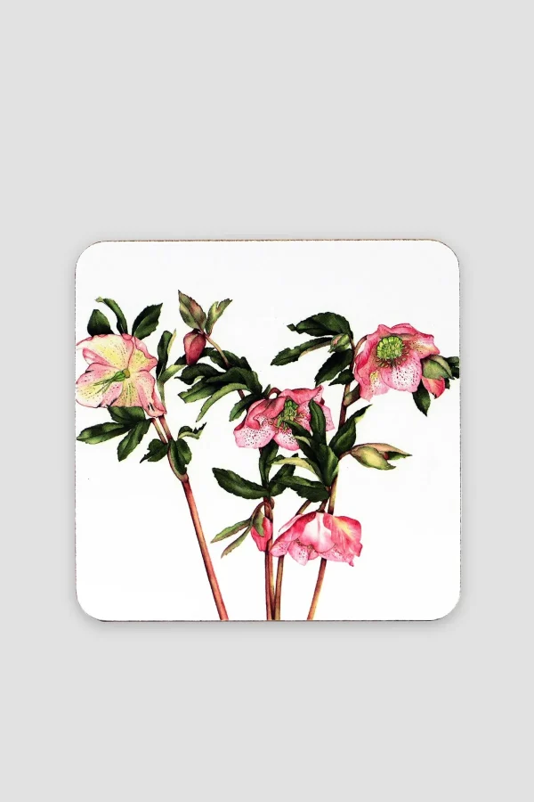 Tipperary Crystal Gift Botanical Cork Backed Coasters* Homeware