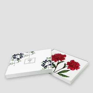 Botanical Collection Botanical Cork Backed Placemats S/6* Homeware