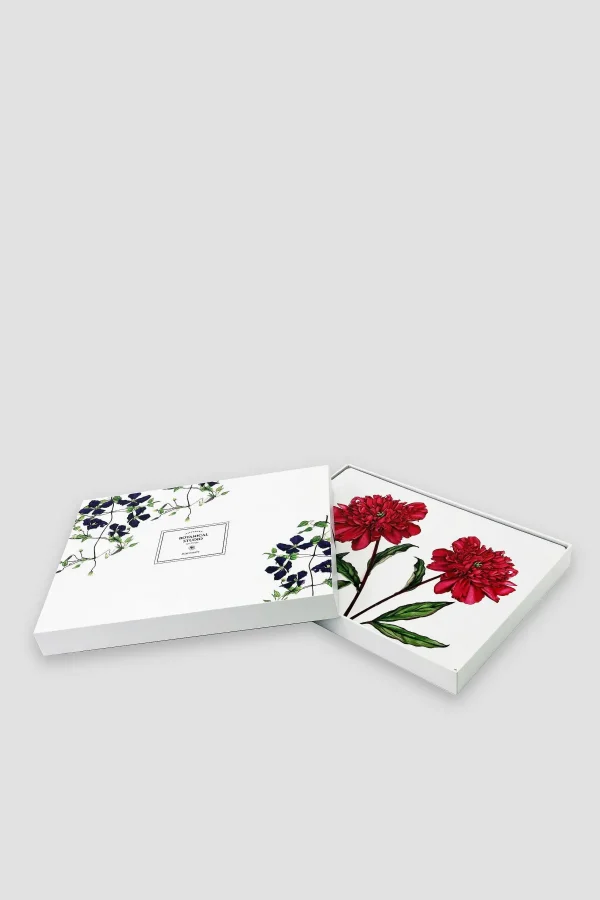 Botanical Collection Botanical Cork Backed Placemats S/6* Homeware