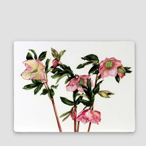 Botanical Collection Botanical Cork Backed Placemats S/6* Homeware