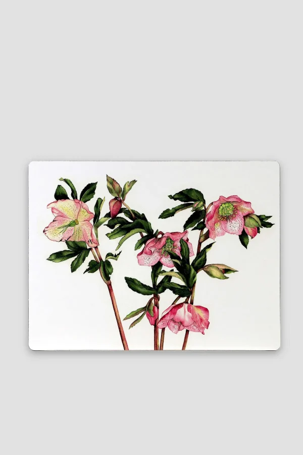 Botanical Collection Botanical Cork Backed Placemats S/6* Homeware