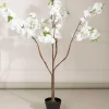 Carraig Donn HOME Cherry Blossom Tree* Homeware