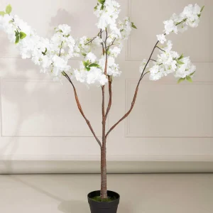 Carraig Donn HOME Cherry Blossom Tree* Homeware