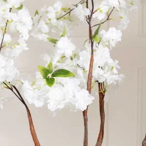 Carraig Donn HOME Cherry Blossom Tree* Homeware