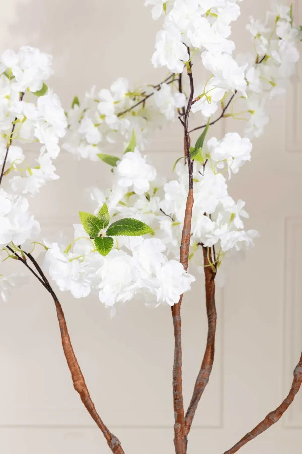 Carraig Donn HOME Cherry Blossom Tree* Homeware