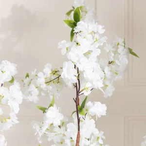 Carraig Donn HOME Cherry Blossom Tree* Homeware