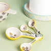 Eclectic Measuring Spoon Set* Homeware