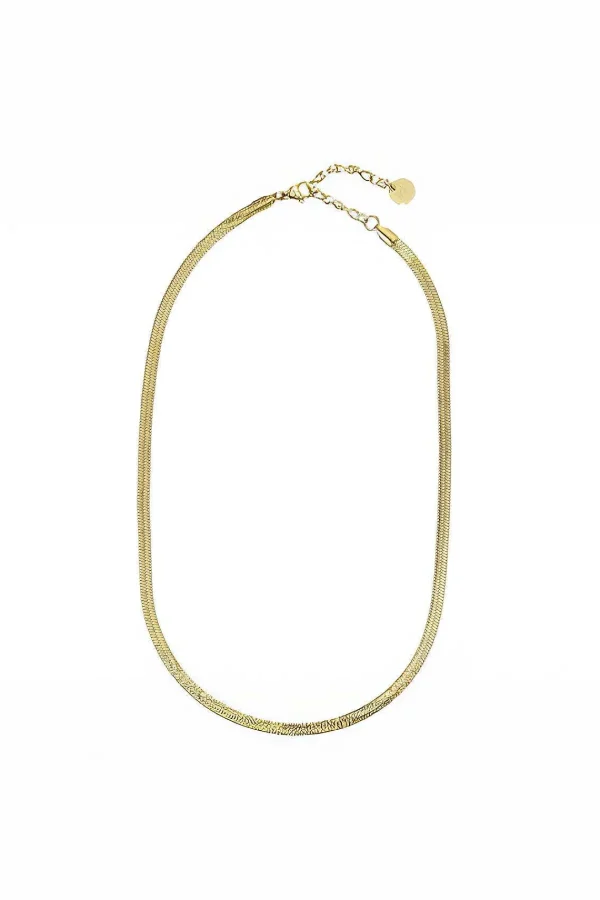 Knight & Day Gold Flat Snake Chain Necklace* Necklaces