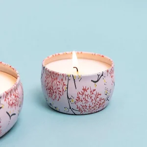 Eclectic Grapefruit & Currant Small Travel Candle* Homeware