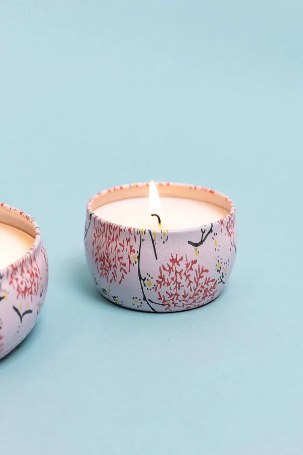 Eclectic Grapefruit & Currant Small Travel Candle* Homeware