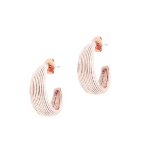 Tipperary Crystal Jewellery Hoop Shell Earrings In Rose Gold* Boxed Gifts