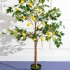 Carraig Donn HOME Lemon Tree* Homeware