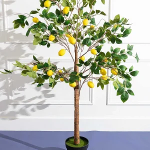 Carraig Donn HOME Lemon Tree* Homeware