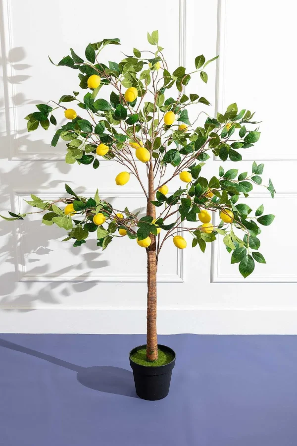 Carraig Donn HOME Lemon Tree* Homeware