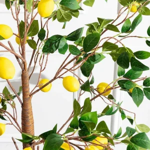 Carraig Donn HOME Lemon Tree* Homeware