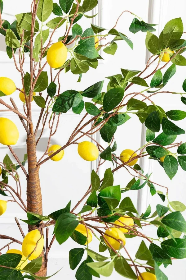 Carraig Donn HOME Lemon Tree* Homeware