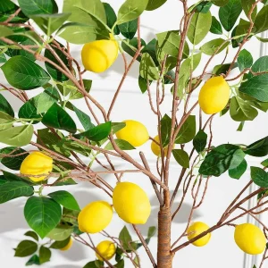 Carraig Donn HOME Lemon Tree* Homeware