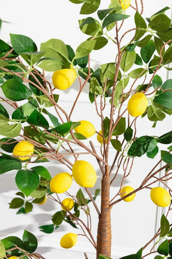 Carraig Donn HOME Lemon Tree* Homeware