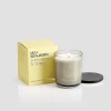 Max Benjamin Lemongrass Natural Wax Candle* Homeware