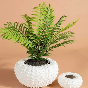 Carraig Donn HOME Sea Urchin Planter Large* Homeware