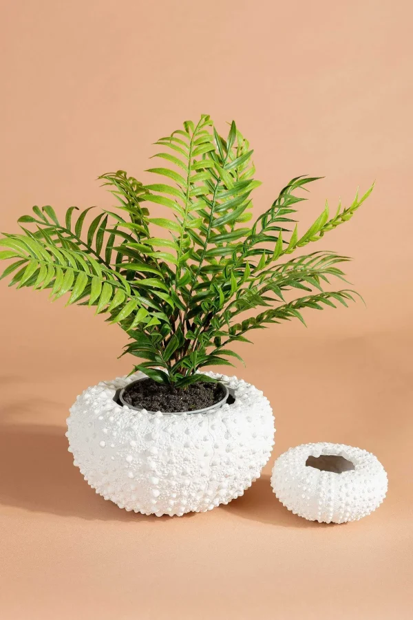 Carraig Donn HOME Sea Urchin Planter Small* Homeware