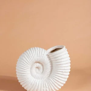 Carraig Donn HOME Seashell Vase* Homeware