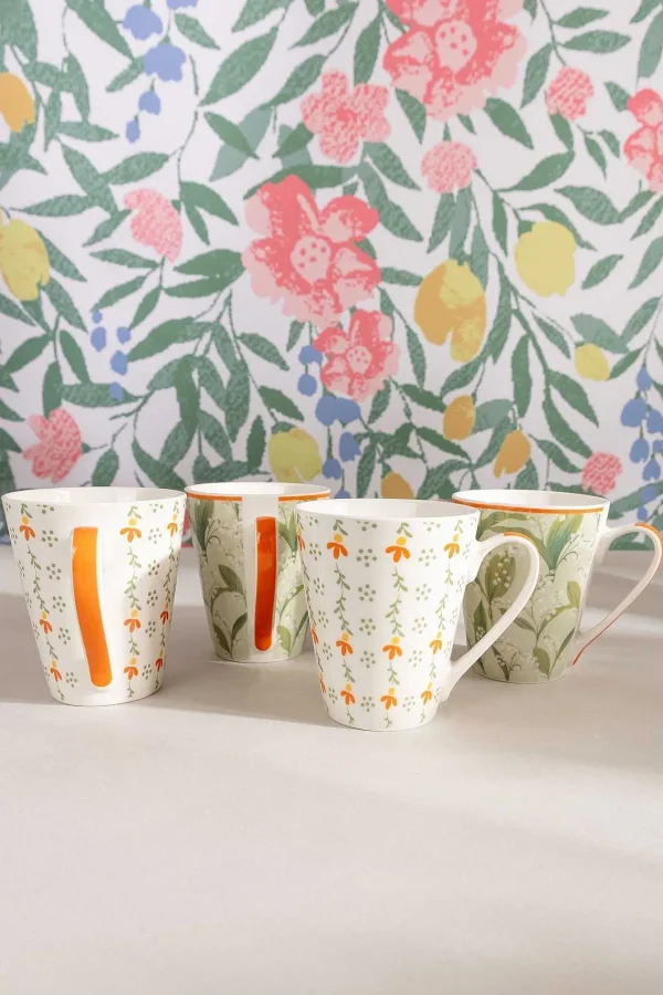 Carraig Donn HOME Set Of 4 Country Chic Mugs* Homeware