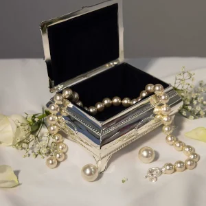 Newbridge Silverware Silver Jewellery Box* Homeware