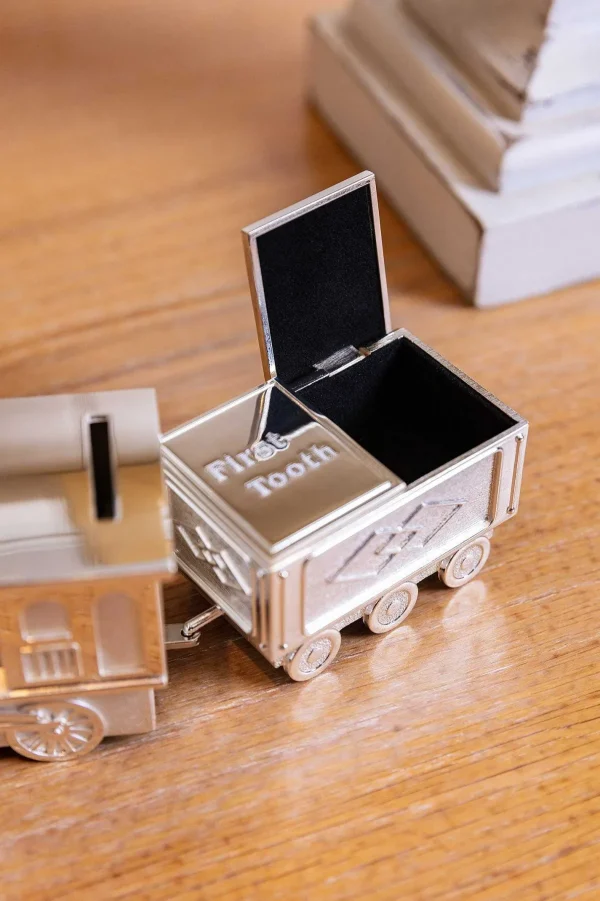 Carraig Donn Living Silver Train Money Box Tooth & Curl* Homeware