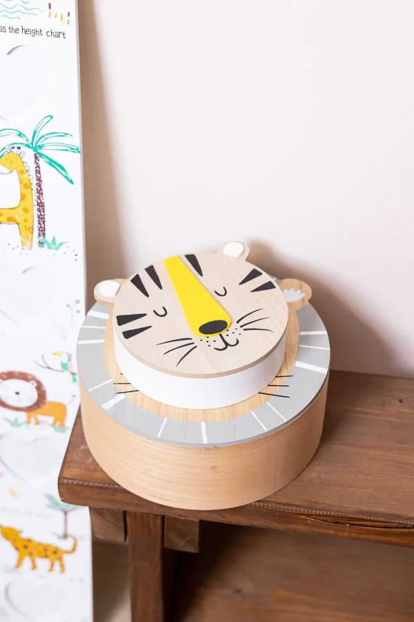 Carraig Donn HOME Tiger Box* Homeware