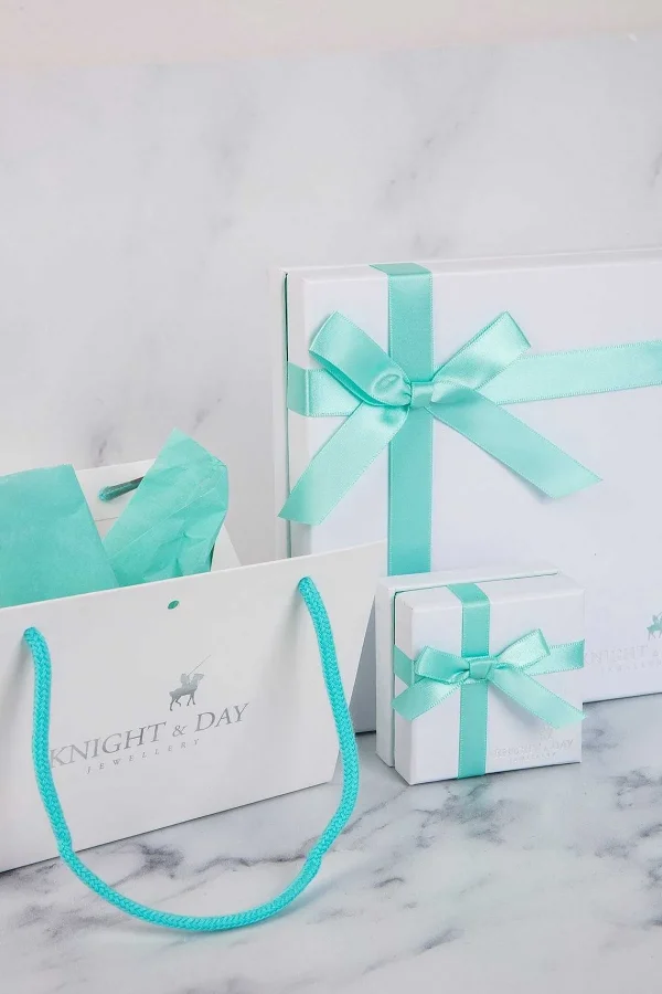 Knight & Day Turquoise Hoop Earrings* Boxed Gifts